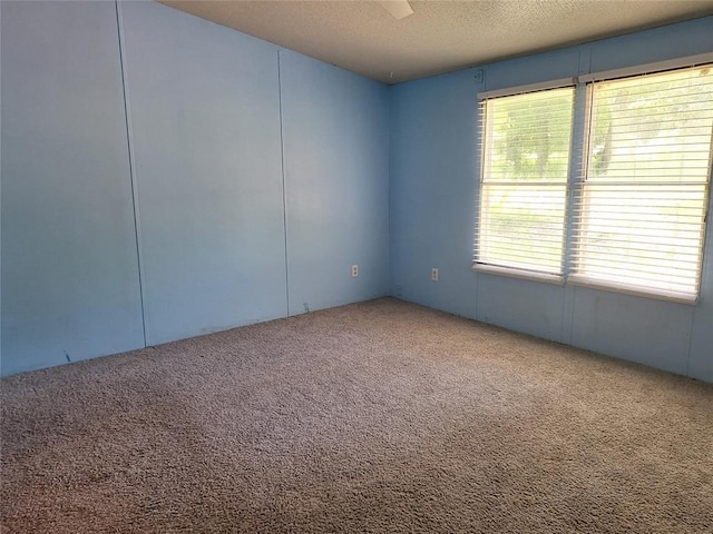 18451 Rolling Oak Rd, Newalla, OK 74857 - unfurnished room with carpet and a textured ceiling