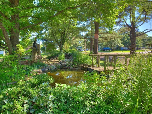 9200 Hollow Rd, Newalla, OK 74857 - view of yard