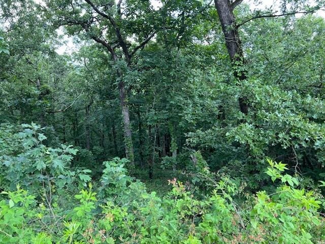 204 Vista Del Lago Trl, Broken Bow, OK 74728