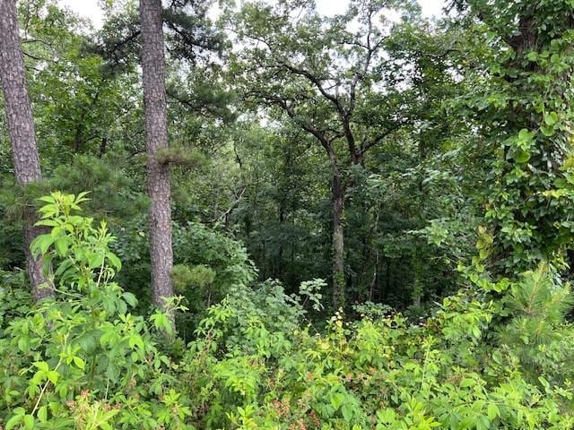 204 Vista Del Lago Trl, Broken Bow, OK 74728