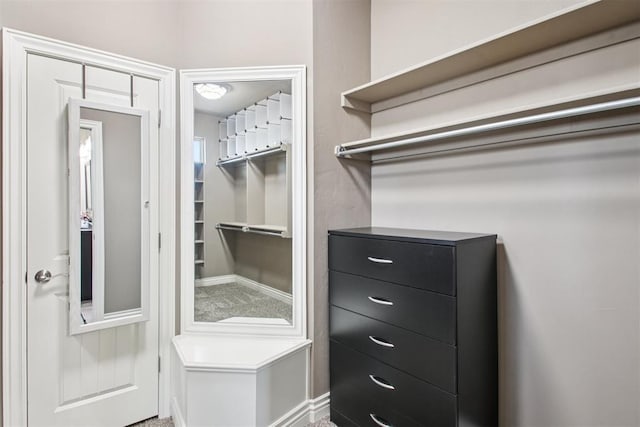 8401 NW 140th St, Oklahoma City, OK 73142 - view of walk in closet
