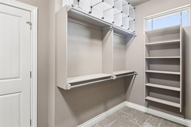 8401 NW 140th St, Oklahoma City, OK 73142 - walk in closet with carpet flooring