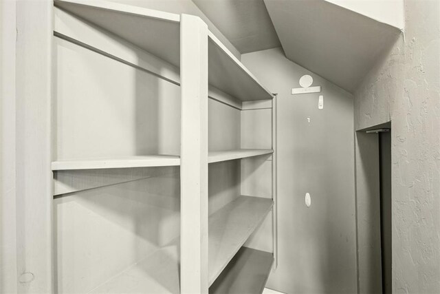 8401 NW 140th St, Oklahoma City, OK 73142 - spacious closet with lofted ceiling