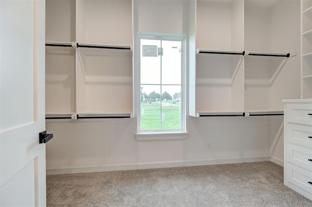 1801 Cedar Valley Mnr, Guthrie, OK 73044 - spacious closet featuring carpet