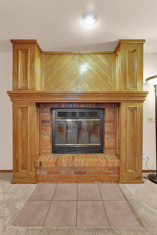 3217 Quail Cir, Altus, OK 73521 - detailed view of a fireplace and carpet
