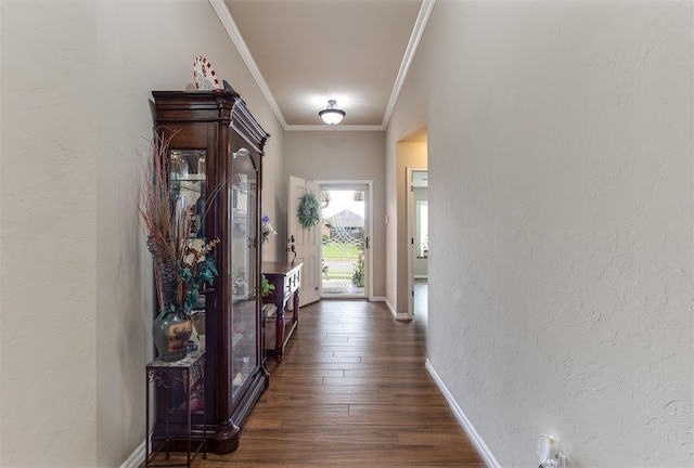 1604 Central Pkwy, Norman, OK 73071 - hallway with a textured wall, dark wood-style flooring, and ornamental molding