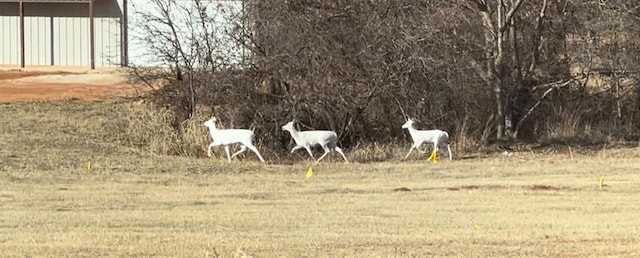 4920 W Forrest Hills Rd, Guthrie, OK 73044 - view of yard