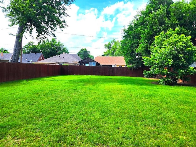 2719 NW 14th St, Oklahoma City, OK 73107 - view of yard