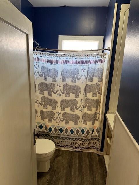 full bathroom featuring wood finished floors, vanity, and a shower with shower curtain