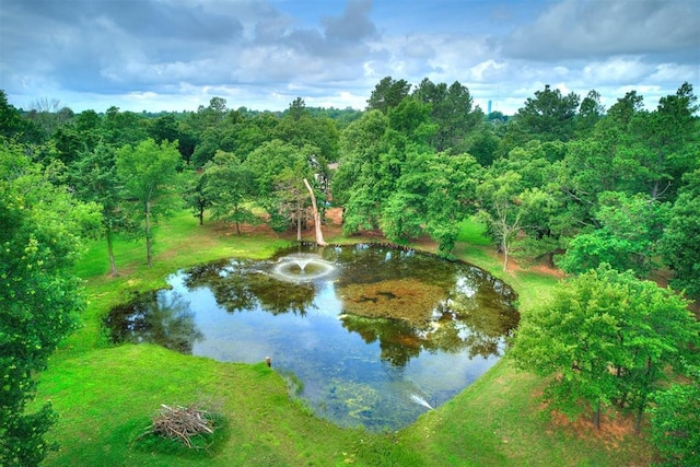 3908 Southwestern Ave, Edmond, OK 73034 - water view featuring a forest