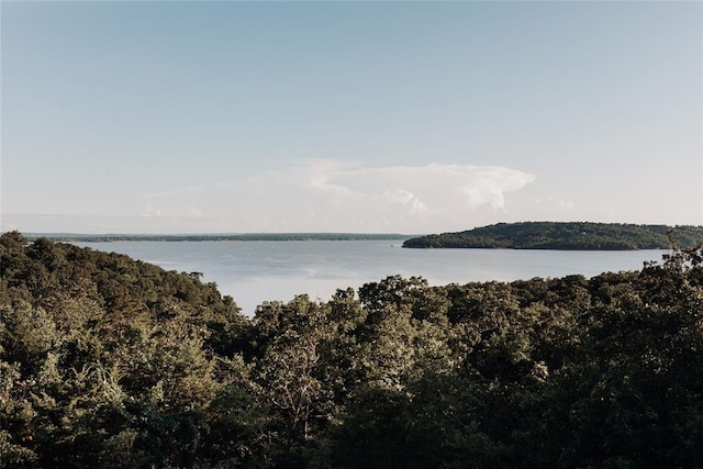 118900 S 4213th Rd, Eufaula, OK 74432 - water view with a heavily wooded area