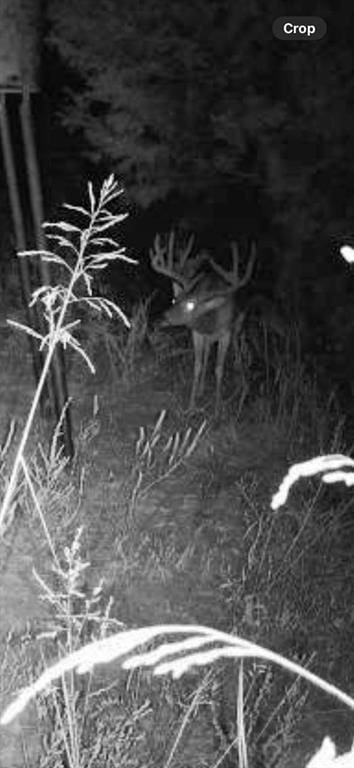 0000 Ew 1210th Rd, Wewoka, OK 74884