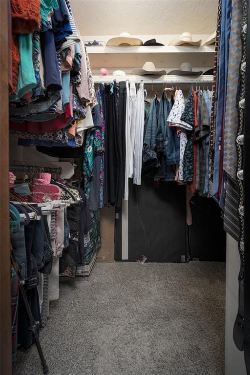 2205 SE 90th St, Lawton, OK 73501 - walk in closet with carpet flooring