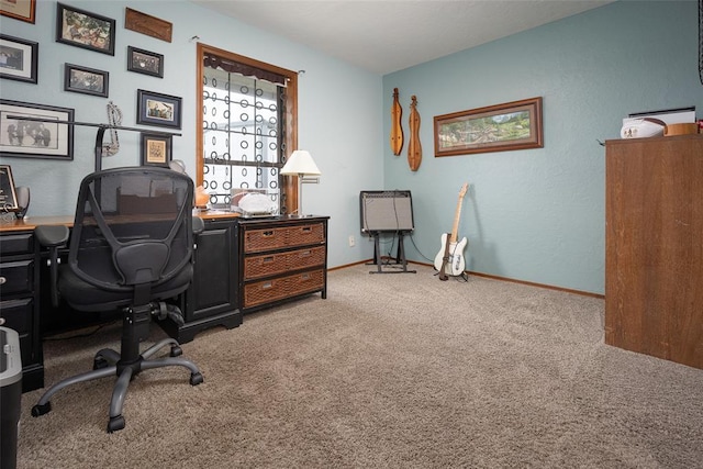 2205 SE 90th St, Lawton, OK 73501 - office space with carpet flooring and baseboards