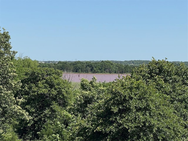 339133 E 870th Rd, Chandler, OK 74834 - water view