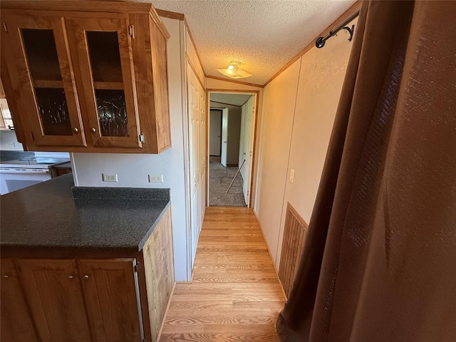 339133 E 870th Rd, Chandler, OK 74834 - hall with light wood-type flooring and a textured ceiling