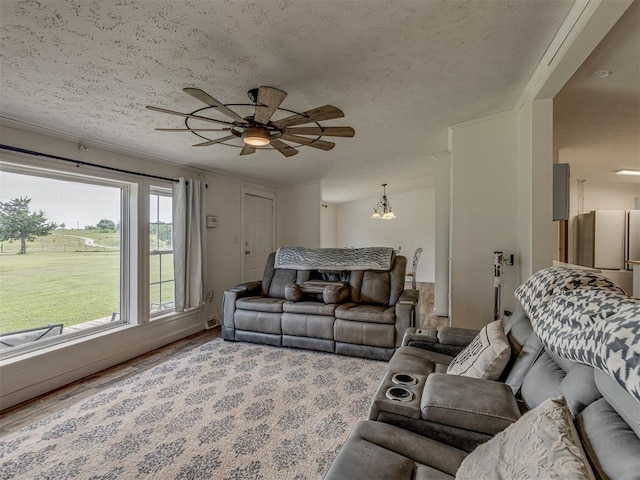 7401 E Forrest Hills Rd, Guthrie, OK 73044 - living room featuring a ceiling fan, a chandelier, a textured ceiling, and wood finished floors