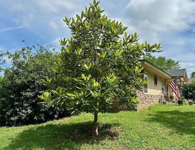 909 N Center St, Shawnee, OK 74801 - view of green lawn