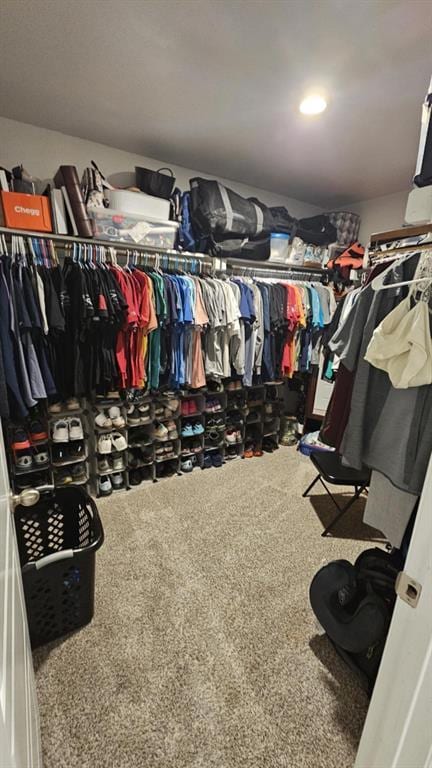 11704 SW 40th St, Mustang, OK 73064 - spacious closet with carpet