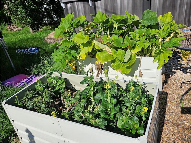3205 NW 62nd St, Oklahoma City, OK 73112 - exterior view of a vegetable garden