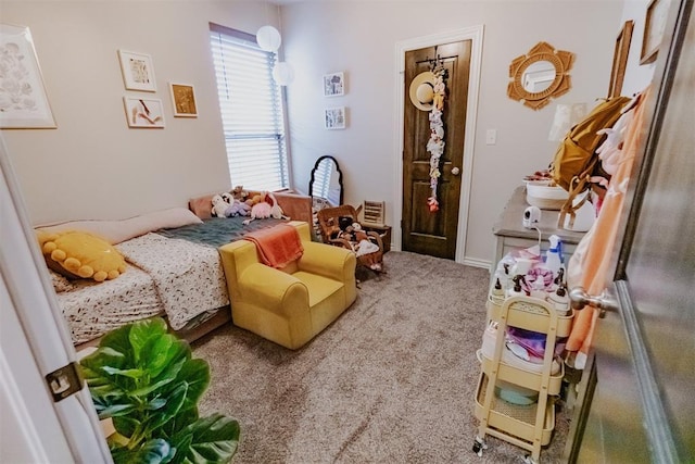 2713 Falling Leaves Dr, Weatherford, OK 73096 - bedroom with carpet floors