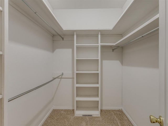 4919 E Lone Chimney Rd, Glencoe, OK 74032 - spacious closet with carpet floors
