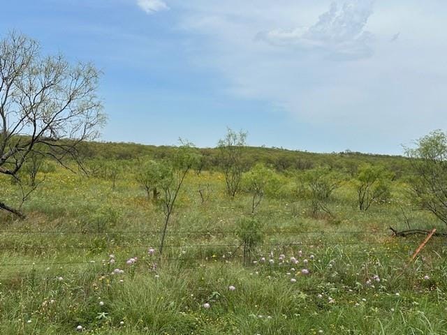 4523 SW Timber Lane Rd, Indiahoma, OK 73552