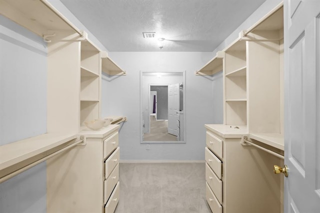 813 N Council Rd Unit S, Newcastle, OK 73065 - walk in closet with light colored carpet