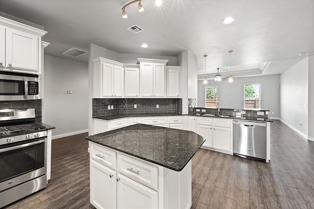 641 Geneva Dr, Edmond, OK 73025 - kitchen with appliances with stainless steel finishes, a peninsula, dark wood-style flooring, white cabinets, and recessed lighting