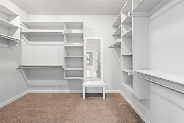 641 Geneva Dr, Edmond, OK 73025 - walk in closet featuring carpet floors