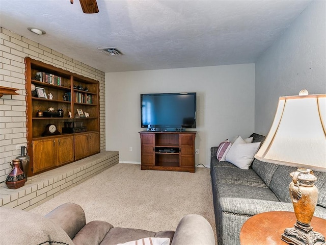 2349 Fox Ln, Blanchard, OK 73010 - carpeted living room featuring built in shelves
