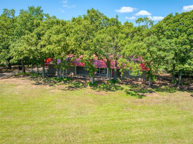 114 Timber Ln, Mcloud, OK 74851 - view of green lawn