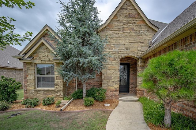6813 Chelsey Ln, Oklahoma City, OK 73132 - view of front facade with stone siding