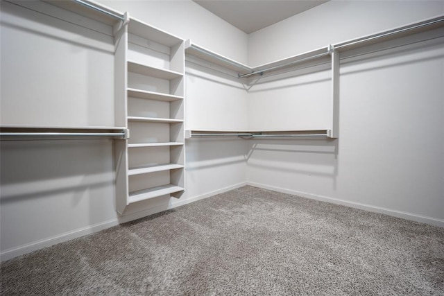 6813 Chelsey Ln, Oklahoma City, OK 73132 - spacious closet with carpet flooring