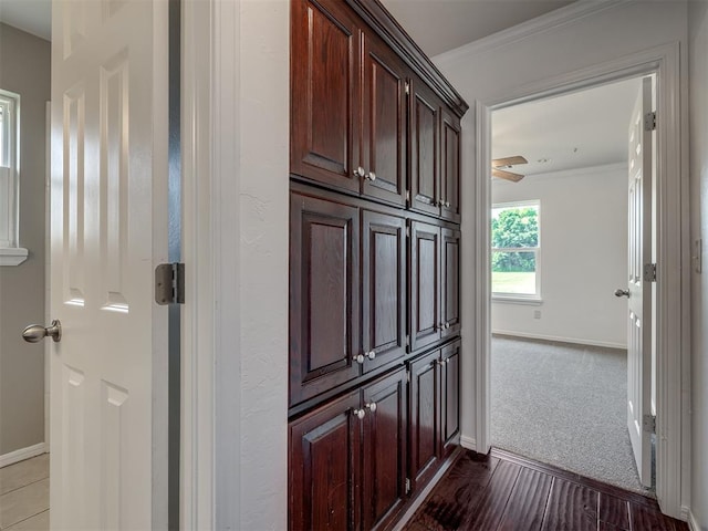 3922 Deer Xing, Edmond, OK 73025 - hallway featuring crown molding and dark wood finished floors