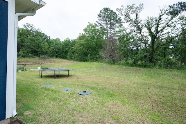 19330 Hidden Pines Dr, Norman, OK 73026 - photo 38