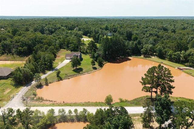 19330 Hidden Pines Dr, Norman, OK 73026 - photo 47