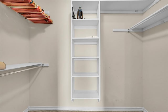 1809 Foxtail Cir, Altus, OK 73521 - view of spacious closet