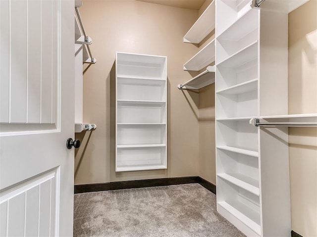 13524 SE 95th St, Oklahoma City, OK 73165 - walk in closet with carpet flooring
