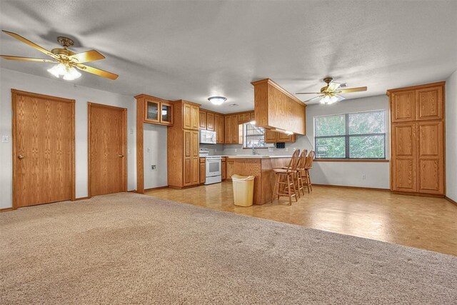 10057 N 2250th Rd Unit 2, Arapaho, OK 73620