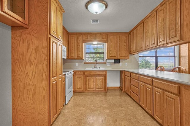 10057 N 2250th Rd Unit 2, Arapaho, OK 73620