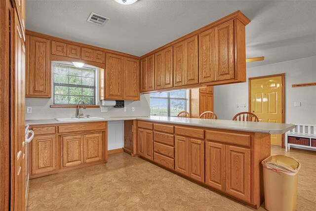 10057 N 2250th Rd Unit 2, Arapaho, OK 73620