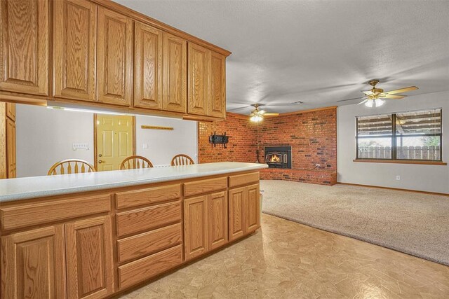 10057 N 2250th Rd Unit 2, Arapaho, OK 73620
