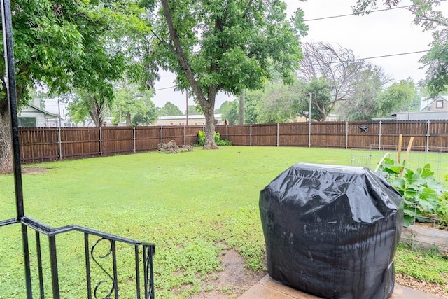 828 N Pine St, Pauls Valley, OK 73075 - view of fenced backyard