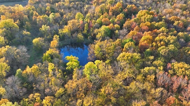 Sapphire Ridge Rd, Idabel, OK 74745 - photo 4