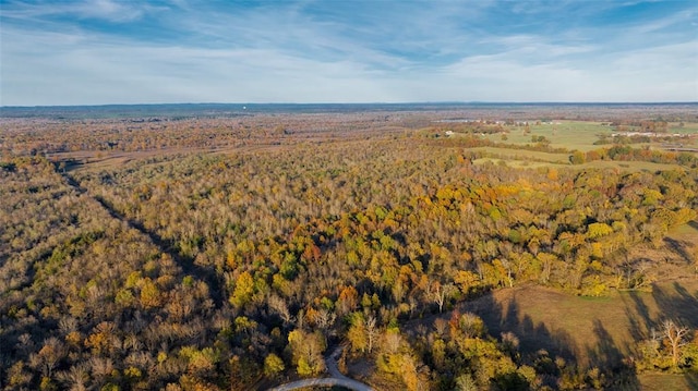 Sapphire Ridge Rd, Idabel, OK 74745 - photo 5