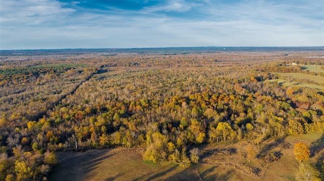 Sapphire Ridge Rd, Idabel, OK 74745 - photo 6