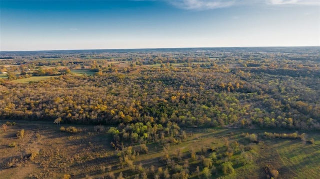 Sapphire Ridge Rd, Idabel, OK 74745 - photo 10