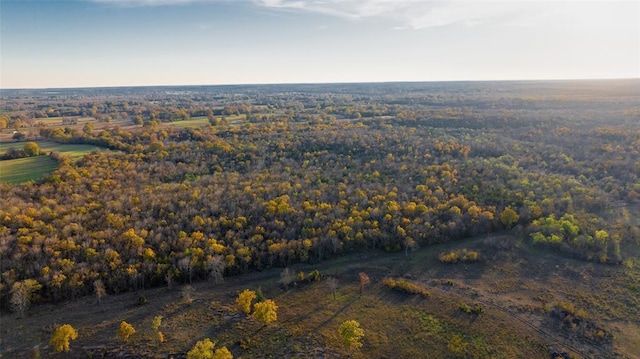 Sapphire Ridge Rd, Idabel, OK 74745 - photo 11