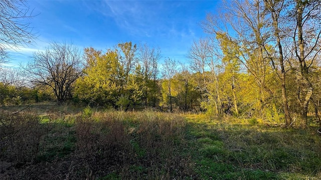 Sapphire Ridge Rd, Idabel, OK 74745 - photo 21